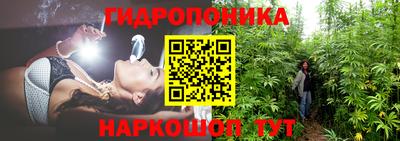 соль ск Гагарин