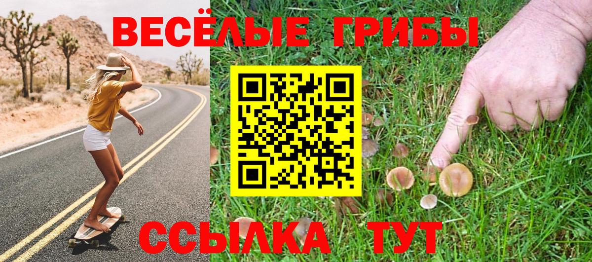 цена   Галлюциногенные грибы прущие грибы  Вход с VPN  Муром  Галлюциногенные грибы GOLDEN TEACHER 